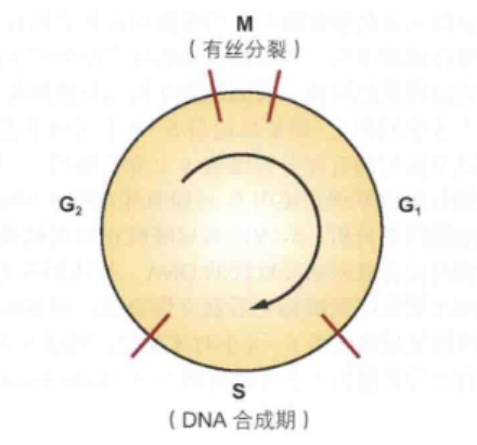 16880876973839.png