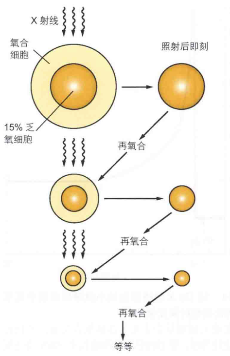 16880879636821.png