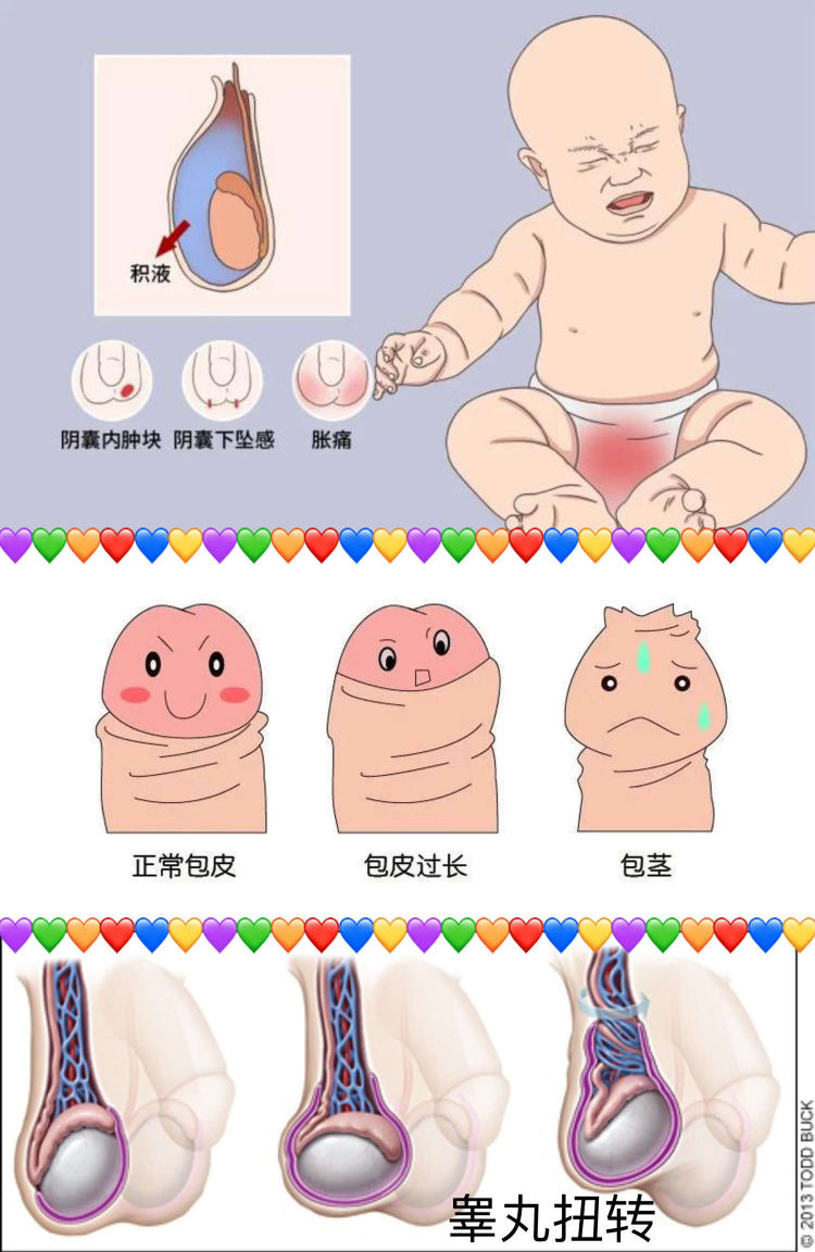 16922353327887.png
